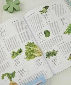 Harper Collins New & Most Loved The Illustrated Self-Care Bible - Rachel Newcombe