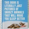 Harper Collins This Book Is Literally Just Pictures Of Snoozy Animals That Will Make You Sleep Better - Smith Street Books New & Most Loved 2 Harper Collins This Book Is Literally Just Pictures Of Snoozy Animals That Will Make You Sleep Better - Smith Street Books New & Most Loved