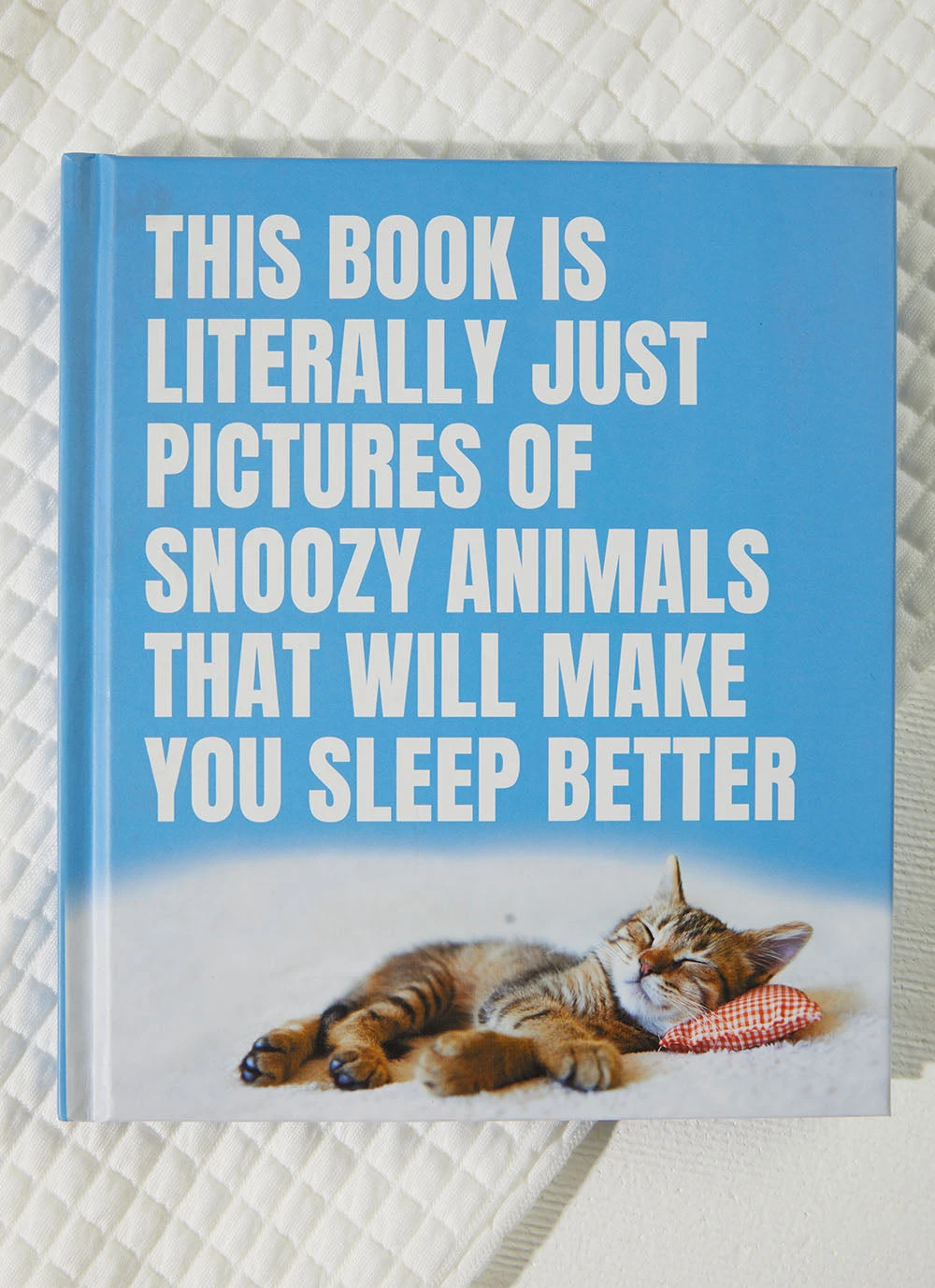 Harper Collins This Book Is Literally Just Pictures Of Snoozy Animals That Will Make You Sleep Better - Smith Street Books New & Most Loved 3 Harper Collins This Book Is Literally Just Pictures Of Snoozy Animals That Will Make You Sleep Better - Smith Street Books New & Most Loved