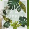 Harper Collins Leaf Supply - Lauren Camilleri New & Most Loved 2 Harper Collins Leaf Supply - Lauren Camilleri New & Most Loved