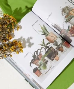 Harper Collins Leaf Supply - Lauren Camilleri New & Most Loved