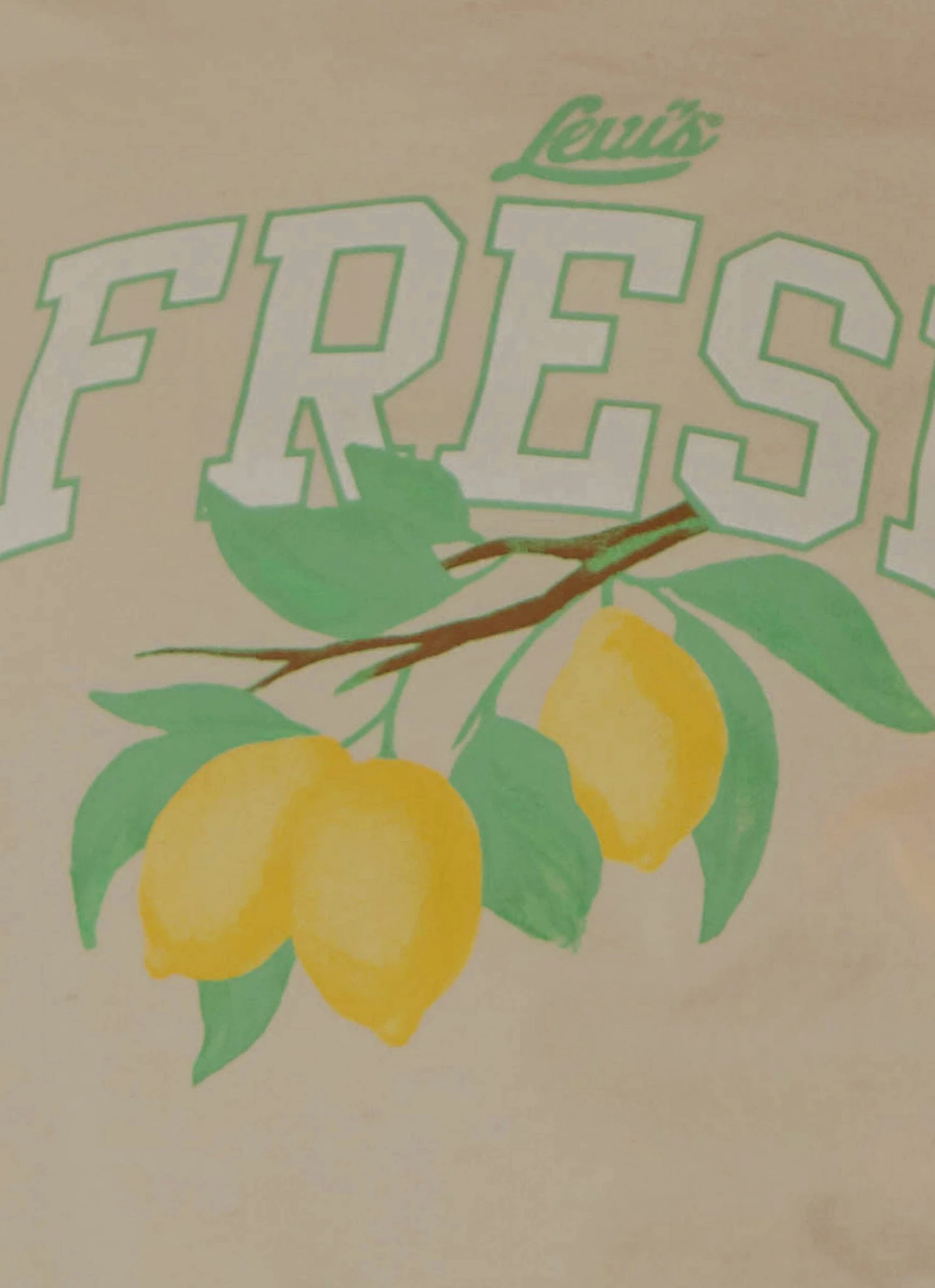 Levi's New & Most Loved Cropped Jordie Tee - Undyed Greige Levi's New & Most Loved Cropped Jordie Tee - Undyed Greige