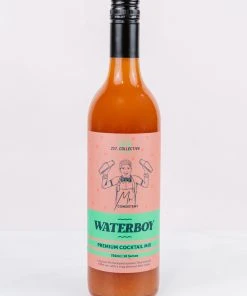 Mr Consistent Premium Cocktail Mixer - Waterboy New Accessories
